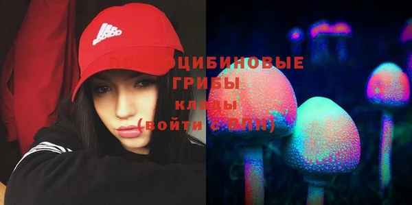 бутират Алзамай