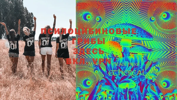 хмурый Алексеевка