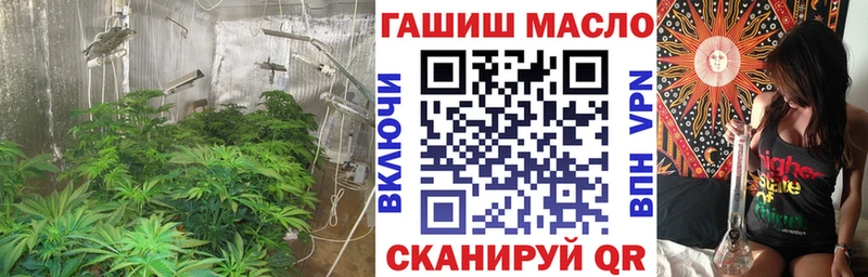 omg вход  наркошоп  Тара  маркетплейс как зайти  ТГК THC oil 