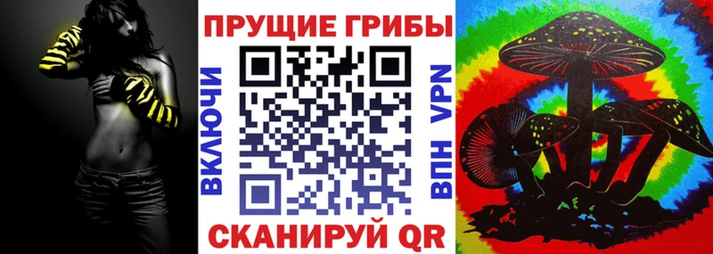 Галлюциногенные грибы Psilocybe  продажа наркотиков  Тара 